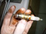 spark plug.jpg
