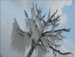frost01.jpg