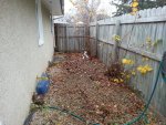 20121024_153115.jpg 20121024_153115.jpg