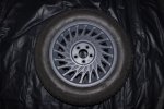 zzplasti2.jpg