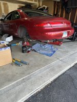 IMG_9449.JPG