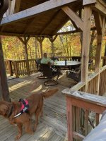 2E96B794-2AF5-4C01-80B9-F815441CF6B7 Medium.jpeg