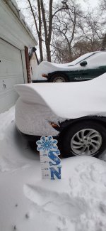 20260125_171604 small.jpg