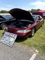 IMG_0348 Large.jpeg