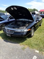 IMG_0351 Large.jpeg