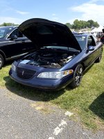 IMG_0354 Large.jpeg
