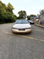 IMG_0517 Large.jpeg