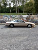 IMG_0520 Large.jpeg